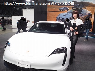 �|���V�F�^�C�J���ƃ��f��