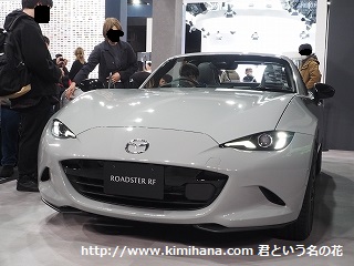 �}�c�_���[�h�X�^�[