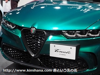 �A���t�@�����I