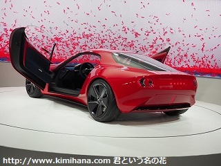 �}�c�_ICONIC SP2