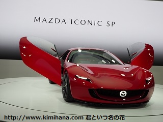 �}�c�_ICONIC SP4