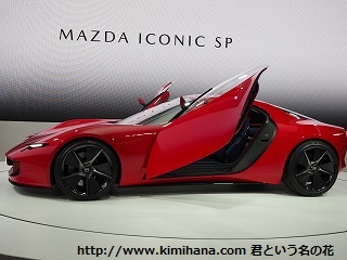 �}�c�_ICONIC SP5