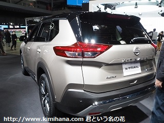 ���YX�g���C�����