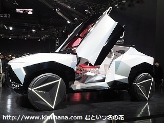 ���YHyper Punk