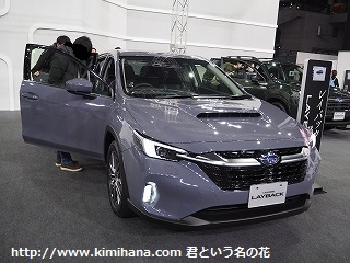 �X�o��LAYBACK