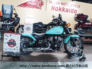 �C���f�B�A��