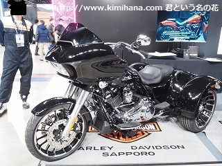 �n�[���[�_�r�b�h�\��Road Glide 3