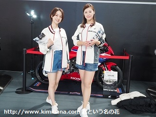 �z���_��փu�[�X�̃��f��