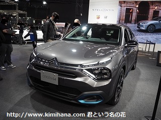 �V�g���G��