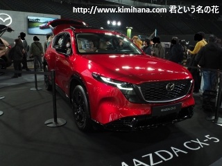 �}�c�_CX-5