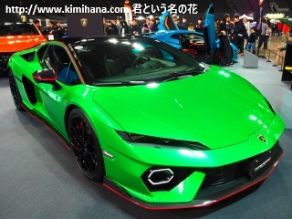 �����{���M�[�j�E�e�������I