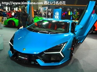 �����{���M�[�j�E�����G���g