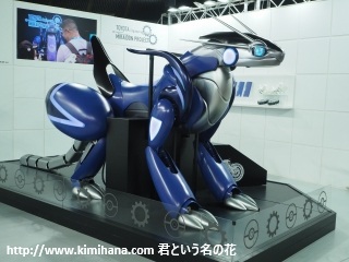 �|�P������