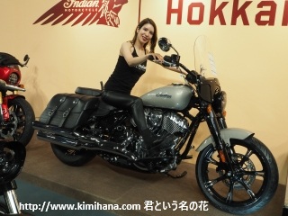 �C���f�B�A��