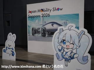 �~�N�����L�l�p�l��