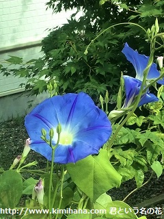 ������