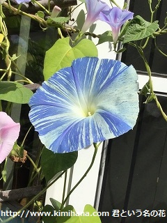 �c�[�g������