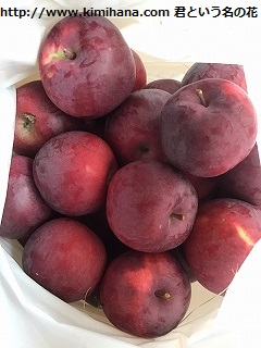 �������S