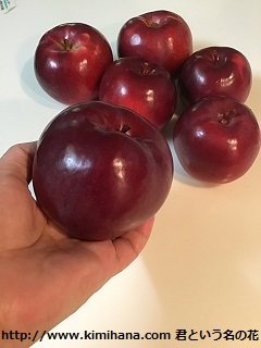 �������S�i�����j