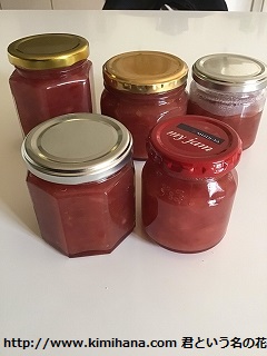 �������S�i�W�����j