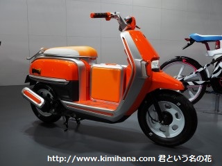 �X�Y�L�E�n�X���[ �X�N�[�g