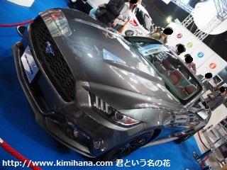 �t�H�[�h�E�}�X�^���O