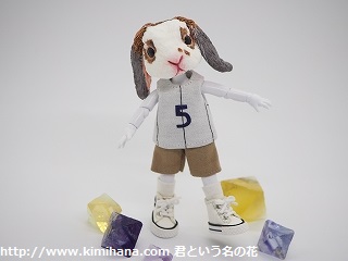 �����҃h�[��1