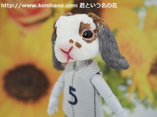 �����҃h�[��2