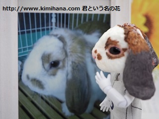 �����҃h�[��3