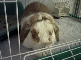 �����ґމ@