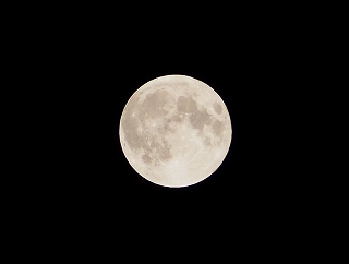 �F�����H3