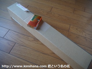 GP�L�����y�[���i�i1