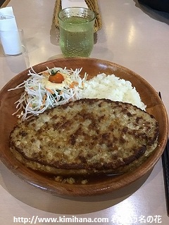 �K���o�[�o�[�O�f�B�b�V��