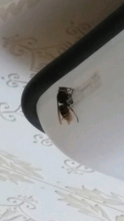 �X�Y���o�`1