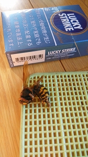 �X�Y���o�`2