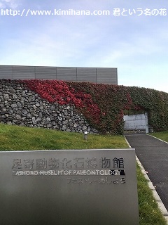 ���񓮕����Δ�����