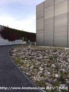 ���񓮕����Δ����ْ���