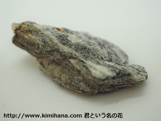 �A�J�X�^�Ж���