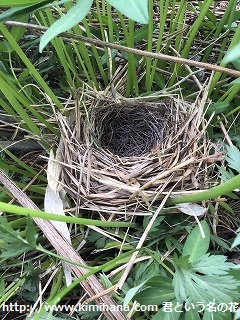 �q�o���̑�2