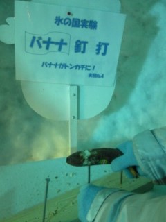 �A�C�X�p�r���I��2