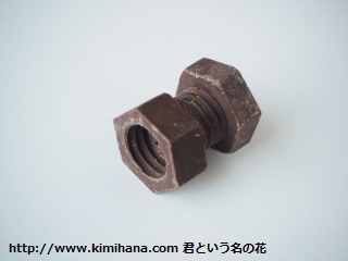 �˂��`���R5