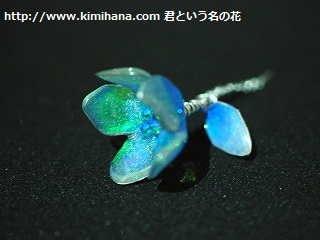 ���W���ԍ��w�i