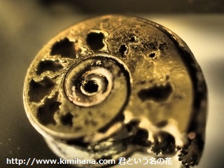 ���S�z�A�����i�C�g