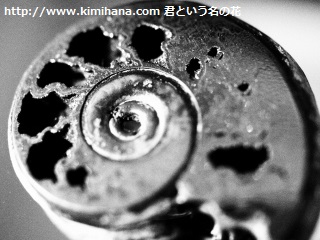 ���S�z�A�����i�C�g����