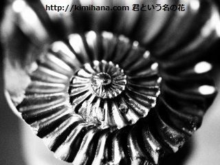 ���S�z�A�����i�C�g�i�l�K�j����