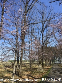 �I��肪����1