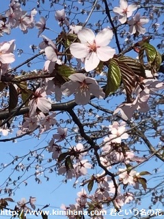 �I��肪����2