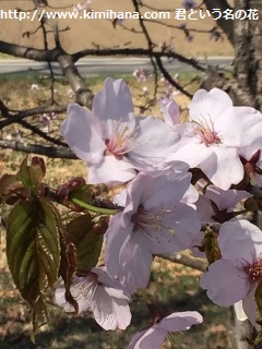 �I��肪����3