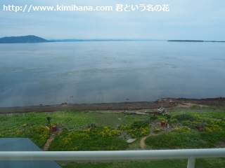 �T���}�΂قƂ�