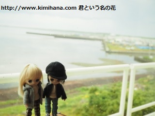 �T���}�Βz�`